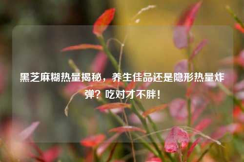 黑芝麻糊热量揭秘,养生佳品还是隐形热量炸弹?吃对才不胖!
