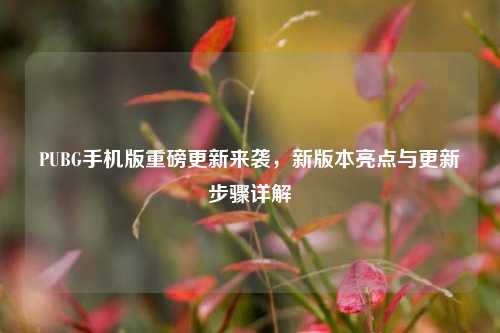 PUBG手机版重磅更新来袭,新版本亮点与更新步骤详解