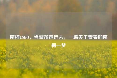 南柯CSGO,当警笛声远去,一场关于青春的南柯一梦