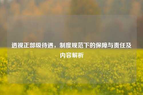 透视正部级待遇,制度规范下的保障与责任及内容解析