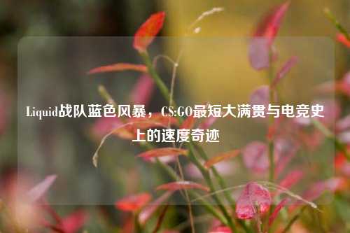 Liquid战队蓝色风暴,CS:GO最短大满贯与电竞史上的速度奇迹