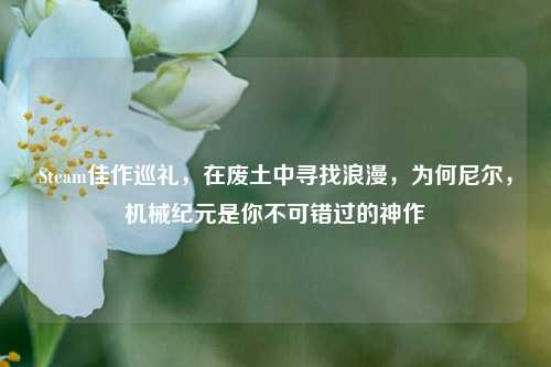 Steam佳作巡礼,在废土中寻找浪漫,为何尼尔,机械纪元是你不可错过的神作