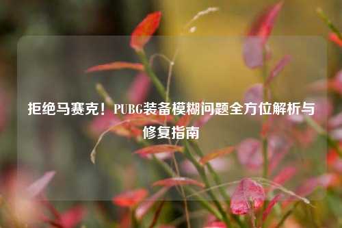 拒绝马赛克!PUBG装备模糊问题全方位解析与修复指南