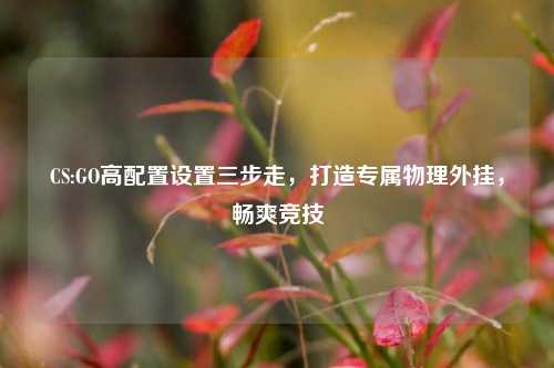 CS:GO高配置设置三步走,打造专属物理外挂,畅爽竞技