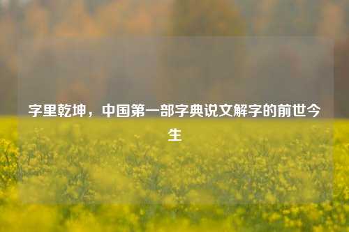 字里乾坤,中国第一部字典说文解字的前世今生