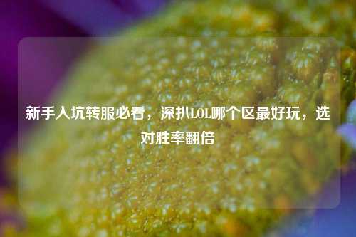 新手入坑转服必看,深扒LOL哪个区最好玩,选对胜率翻倍