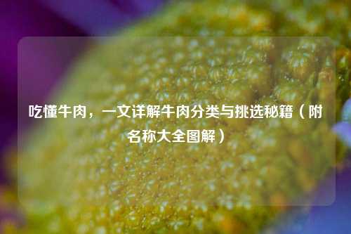 吃懂牛肉,一文详解牛肉分类与挑选秘籍(附名称大全图解)
