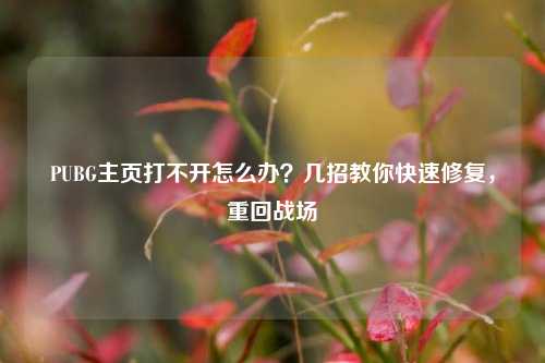 PUBG主页打不开怎么办?几招教你快速修复,重回战场
