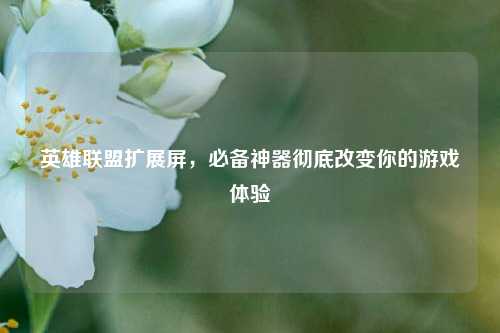英雄联盟扩展屏,必备神器彻底改变你的游戏体验