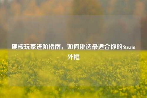 硬核玩家进阶指南,如何挑选最适合你的Steam外框