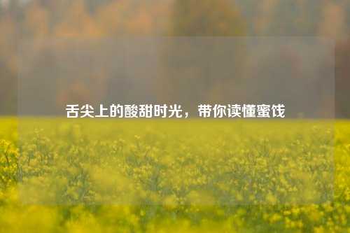舌尖上的酸甜时光,带你读懂蜜饯