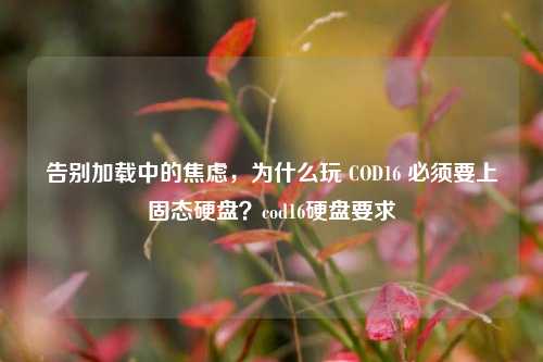 告别加载中的焦虑,为什么玩 COD16 必须要上固态硬盘?cod16硬盘要求