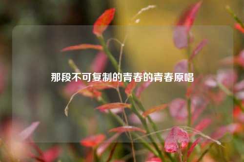 那段不可复制的青春的青春原唱