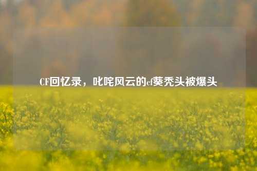 CF回忆录,叱咤风云的cf葵秃头被爆头