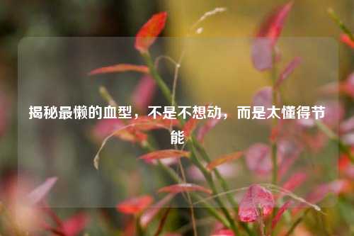 揭秘最懒的血型,不是不想动,而是太懂得节能