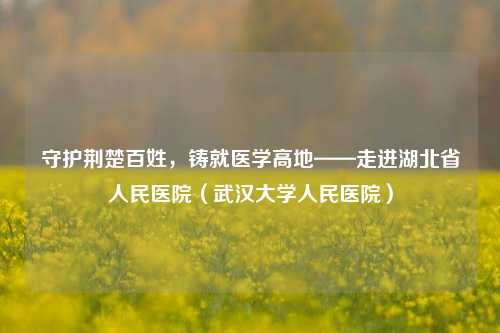 守护荆楚百姓,铸就医学高地——走进湖北省人民医院(武汉大学人民医院)
