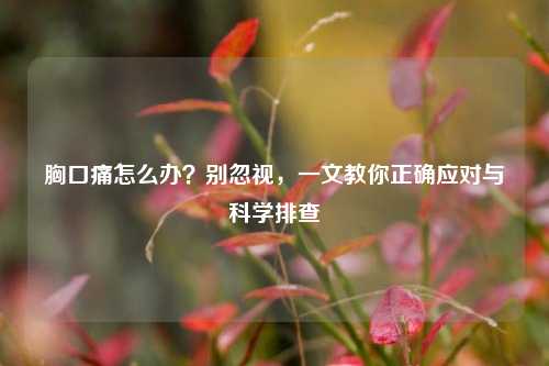 胸口痛怎么办?别忽视,一文教你正确应对与科学排查