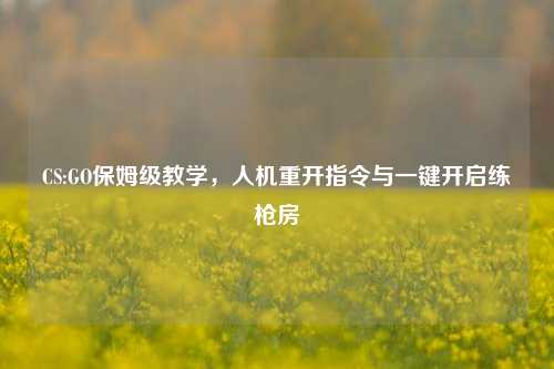CS:GO保姆级教学,人机重开指令与一键开启练枪房