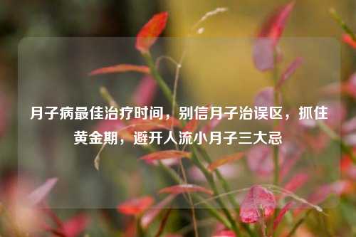 月子病最佳治疗时间,别信月子治误区,抓住黄金期,避开人流小月子三大忌