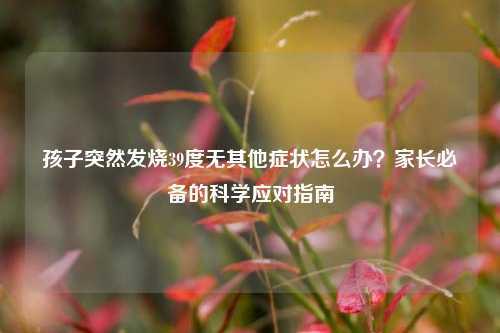 孩子突然发烧39度无其他症状怎么办?家长必备的科学应对指南