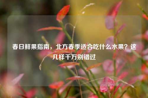 春日鲜果指南,北方春季适合吃什么水果?这几样千万别错过