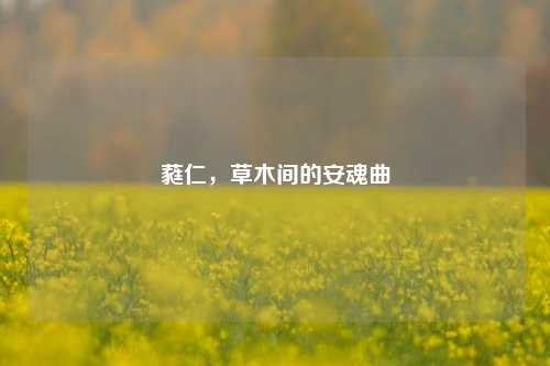 蕤仁,草木间的安魂曲