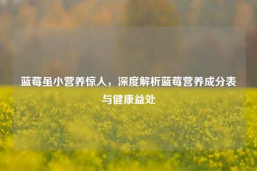 蓝莓虽小营养惊人,深度解析蓝莓营养成分表与健康益处