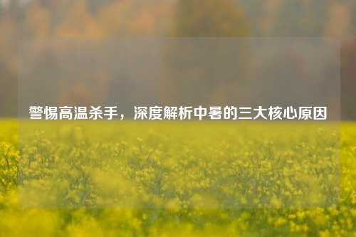 警惕高温杀手,深度解析中暑的三大核心原因