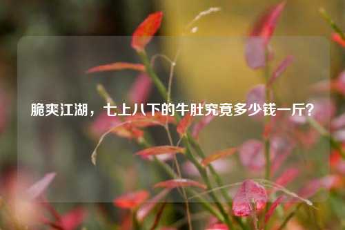 脆爽江湖,七上八下的牛肚究竟多少钱一斤?