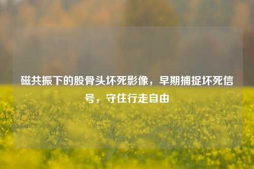 磁共振下的股骨头坏死影像,早期捕捉坏死信号,守住行走自由
