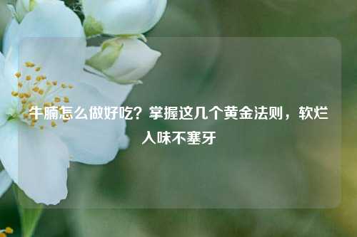 牛腩怎么做好吃?掌握这几个黄金法则,软烂入味不塞牙