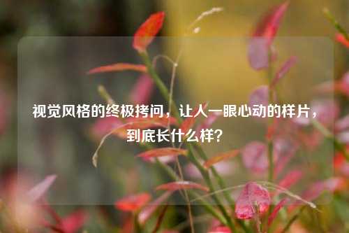视觉风格的终极拷问,让人一眼心动的样片,到底长什么样?