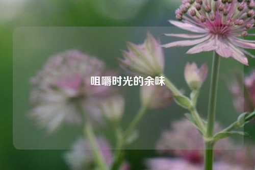 咀嚼时光的余味