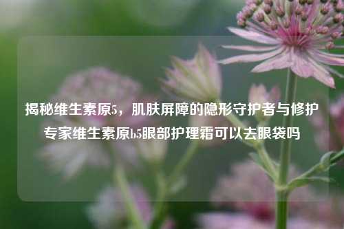 揭秘维生素原5,肌肤屏障的隐形守护者与修护专家维生素原b5眼部护理霜可以去眼袋吗