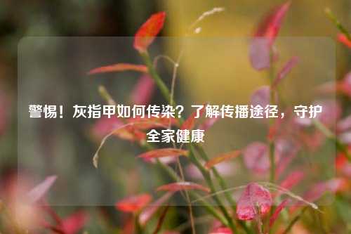 警惕!灰指甲如何传染?了解传播途径,守护全家健康