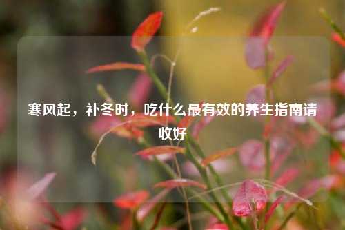 寒风起,补冬时,吃什么最有效的养生指南请收好