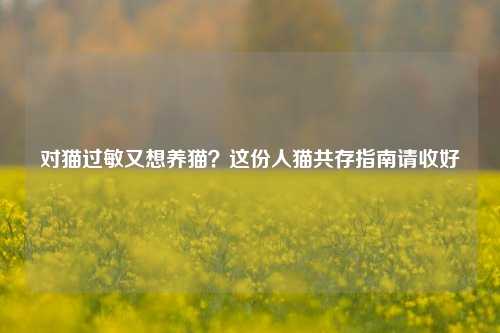 对猫过敏又想养猫?这份人猫共存指南请收好