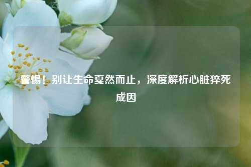 警惕!别让生命戛然而止,深度解析心脏猝死成因