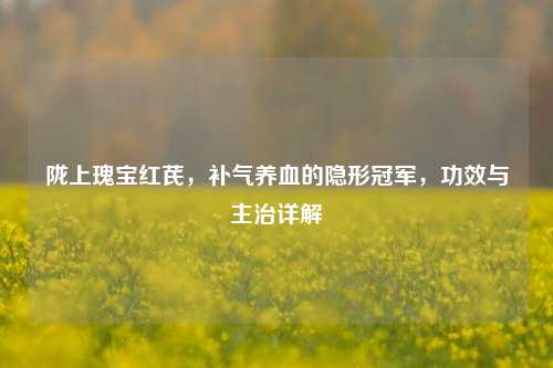 陇上瑰宝红芪,补气养血的隐形冠军,功效与主治详解