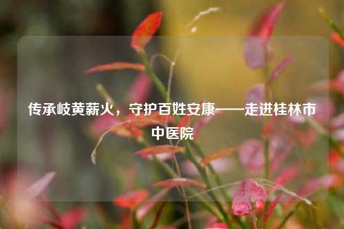 传承岐黄薪火,守护百姓安康——走进桂林市中医院