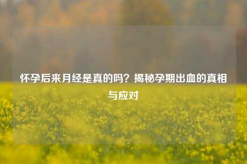 怀孕后来月经是真的吗?揭秘孕期出血的真相与应对