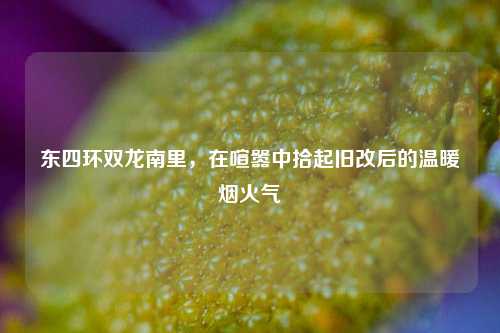 东四环双龙南里,在喧嚣中拾起旧改后的温暖烟火气