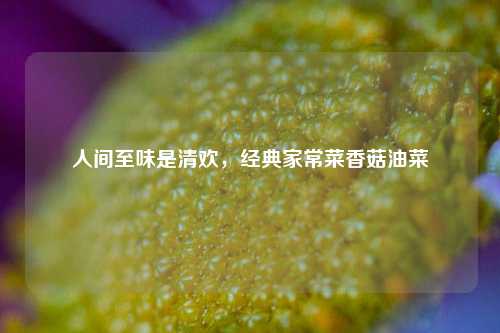 人间至味是清欢,经典家常菜香菇油菜