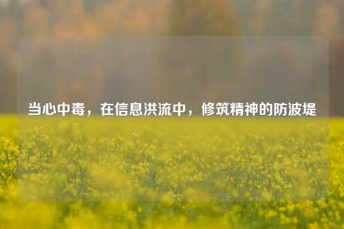 当心中毒,在信息洪流中,修筑精神的防波堤