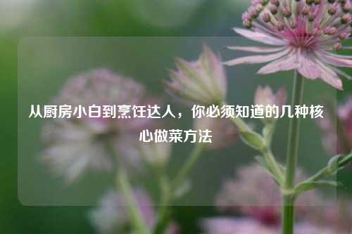 从厨房小白到烹饪达人,你必须知道的几种核心做菜方法