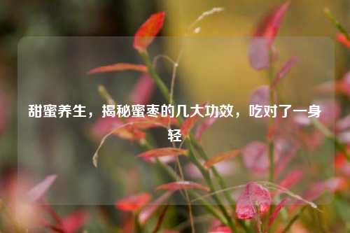 甜蜜养生,揭秘蜜枣的几大功效,吃对了一身轻