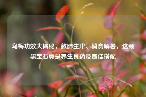 乌梅功效大揭秘,敛肺生津、消食解暑,这颗黑宝石竟是养生良药及最佳搭配