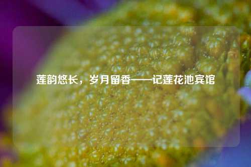 莲韵悠长,岁月留香——记莲花池宾馆