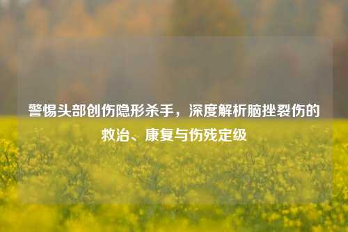 警惕头部创伤隐形杀手,深度解析脑挫裂伤的救治、康复与伤残定级