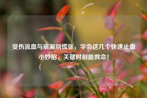 受伤流血与崩漏别慌张,学会这几个快速止血小妙招,关键时刻能救命!